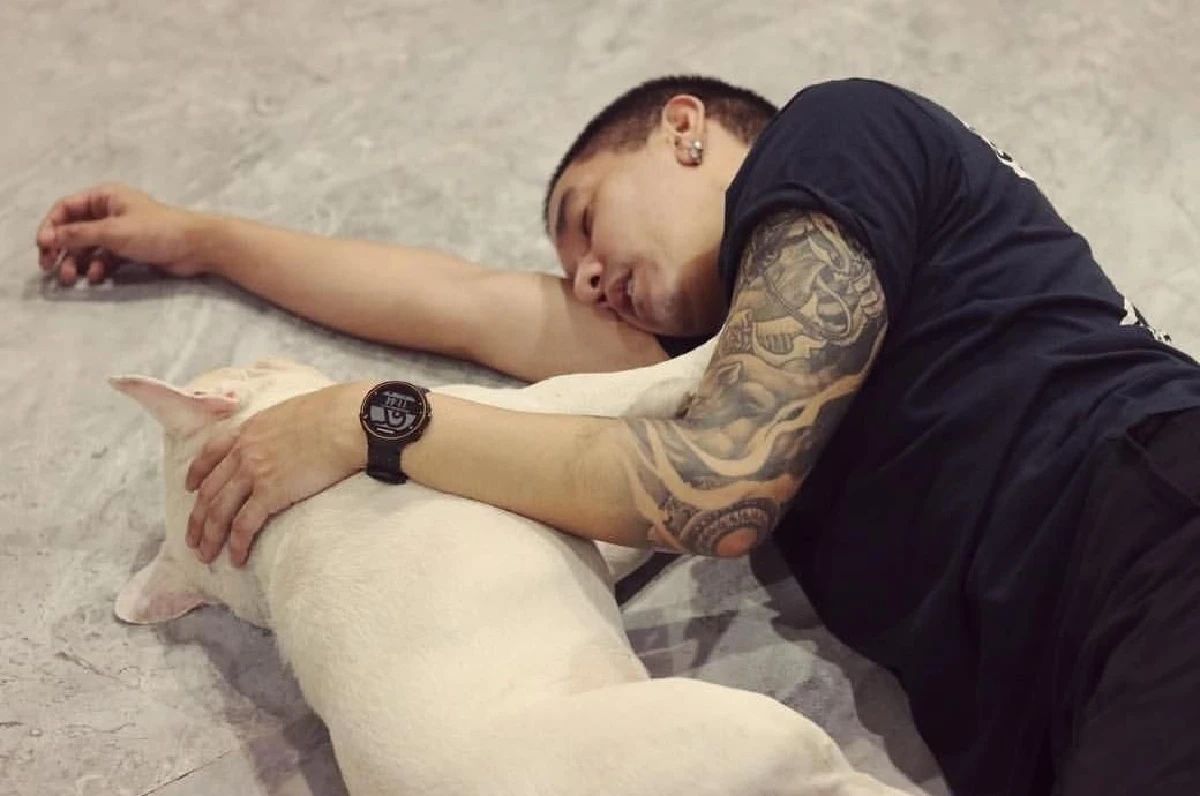 ดีเจแมน ขอโทษที่มาหาช้า! เอลวิส น้องหมาคู่ใจเสียชีวิตเพราะอากาศร้อน