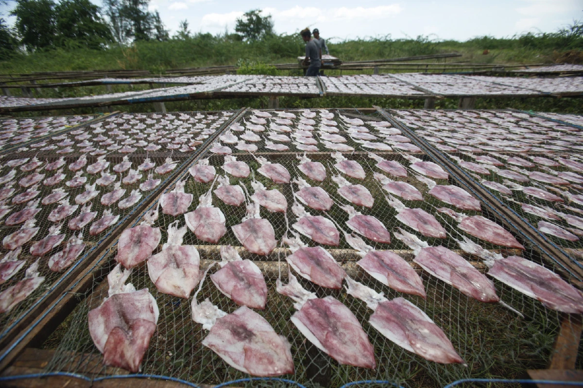 ตกลง 'หมึก' เป็นพระเอกหรือผู้ร้าย