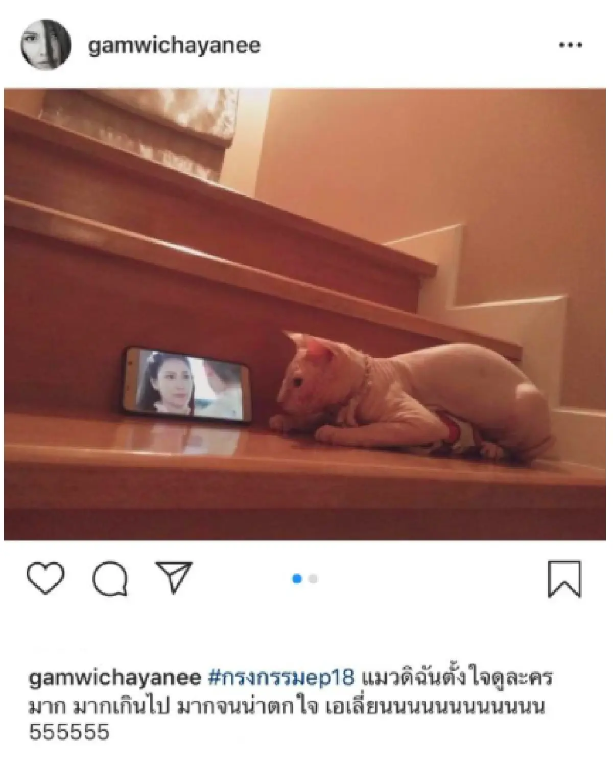 “กรงกรรม” เอาเรื่อง! แม้แต่เจ้าเหมียวของสาว “แก้ม” ยังติดละคร
