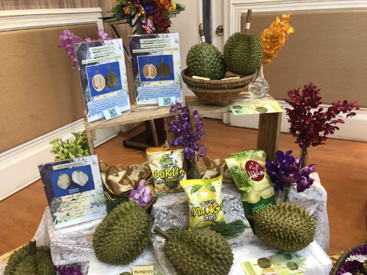 พาณิชย์เตรียมนำทัพขนสินค้าไทยโชว์ศักยภาพในงานพืชสวนโลกปักกิ่ง เอ็กซ์โป 2019