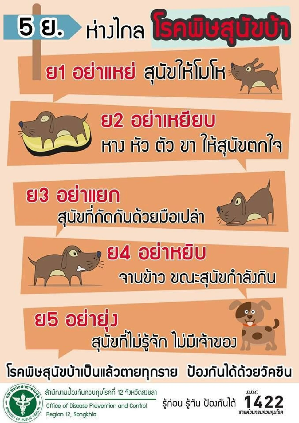 4 เรื่องควรรู้สู้ภัยพิษสุนัขบ้าหน้าร้อน