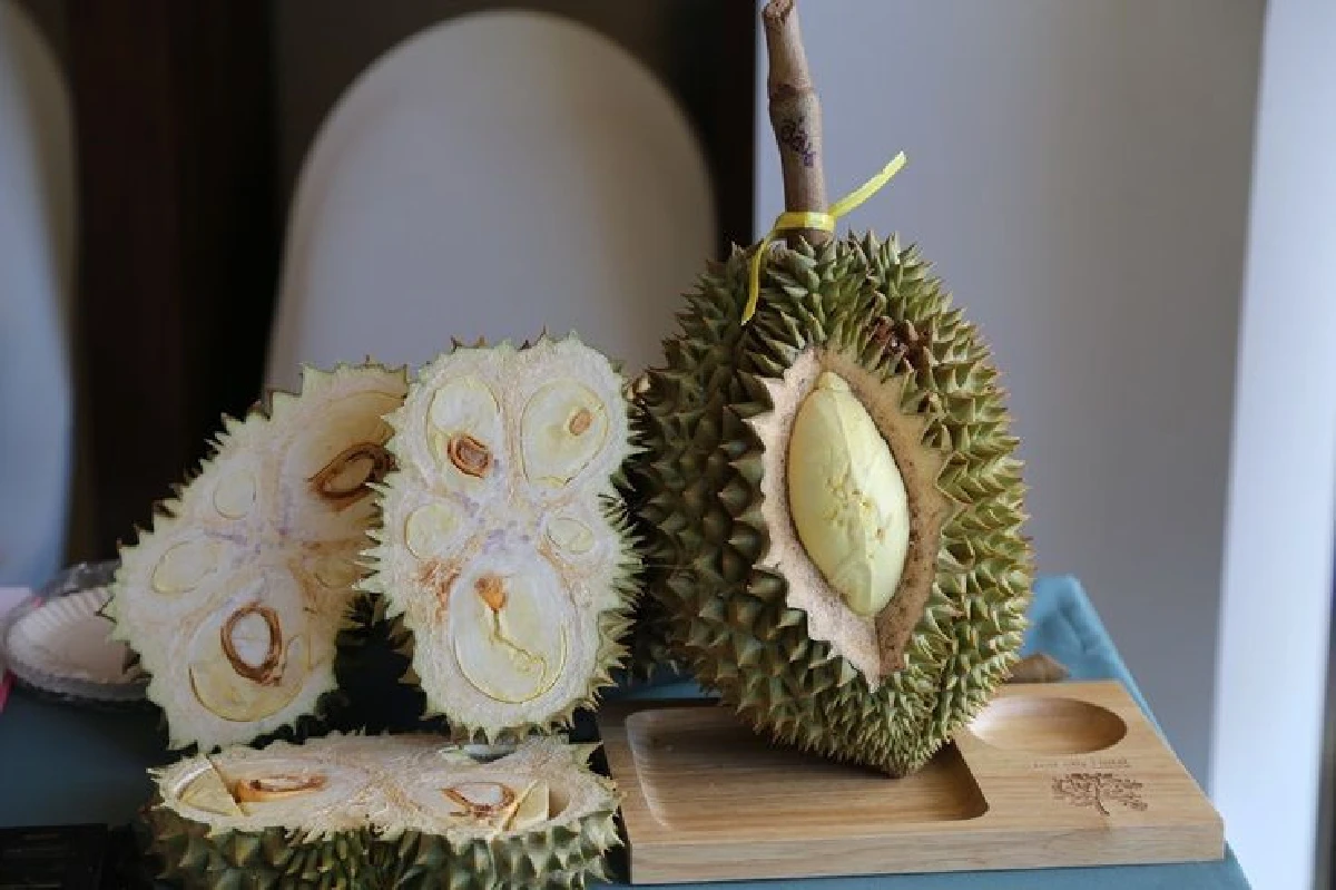 มกอช.เดินหน้าพัฒนากลุ่มเกษตรแปลงใหญ่ทุเรียนท่ากุ่ม ผลิตทุเรียนคุณภาพมาตรฐาน GAP