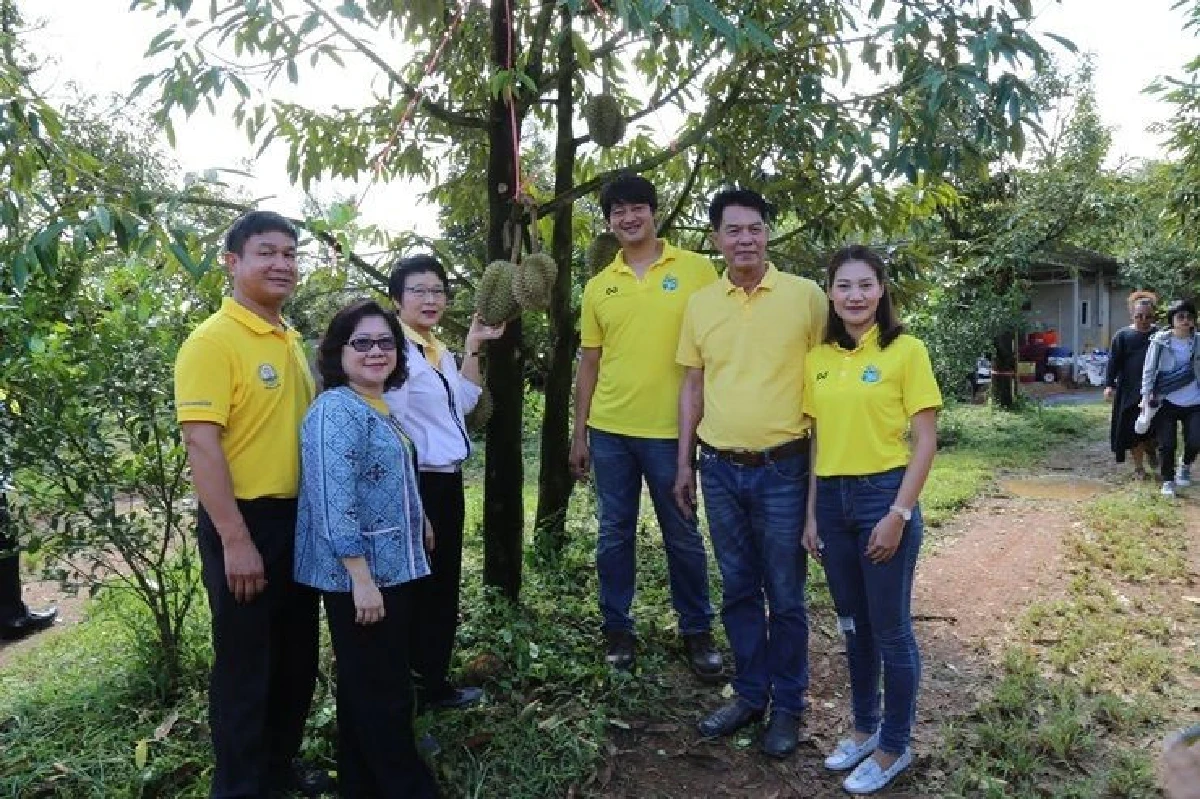 มกอช.เดินหน้าพัฒนากลุ่มเกษตรแปลงใหญ่ทุเรียนท่ากุ่ม ผลิตทุเรียนคุณภาพมาตรฐาน GAP