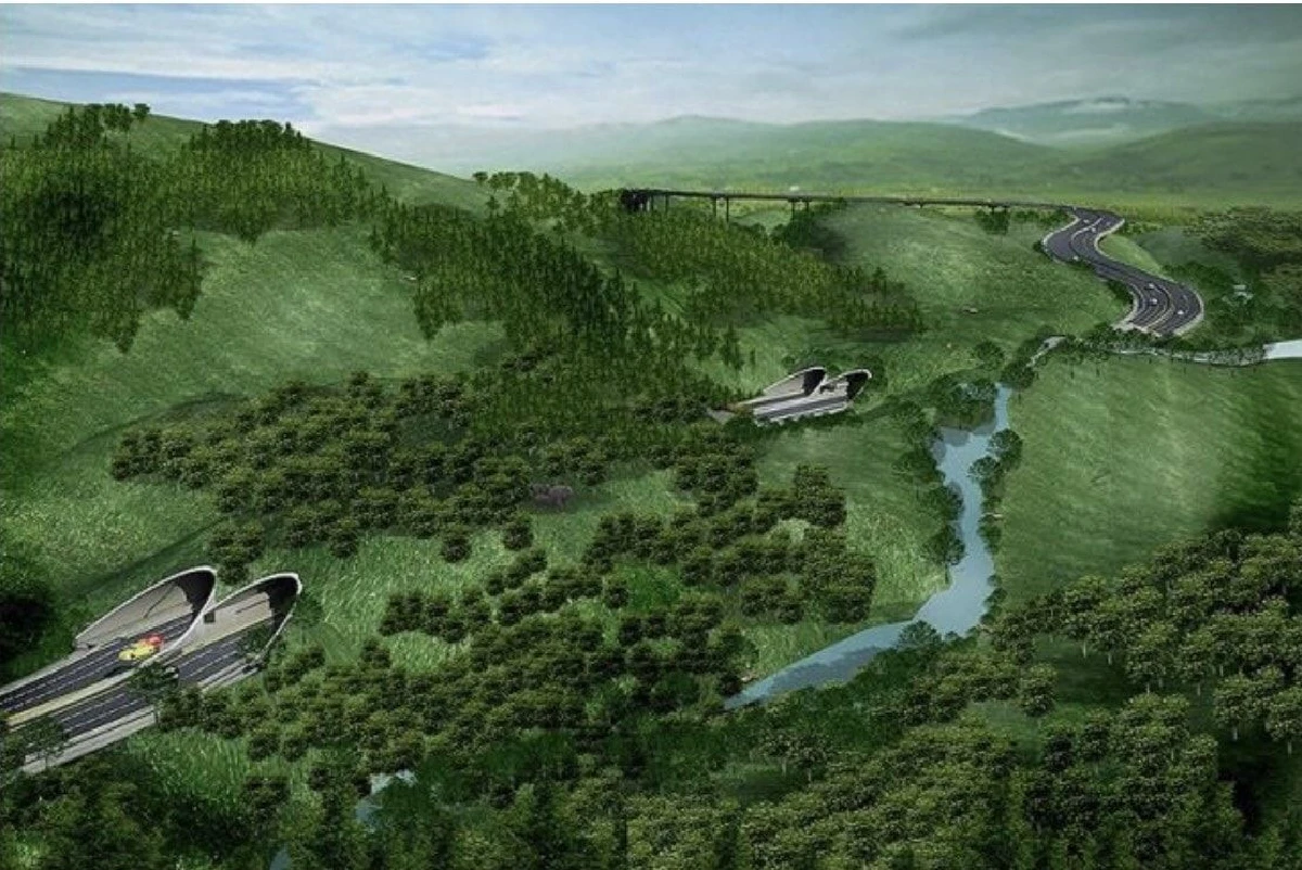 กรมอุทยานฯเผยภาพสัตว์ป่าเดินข้ามอุโมงค์เชื่อมอุทยานเขาใหญ่-ทับลาน