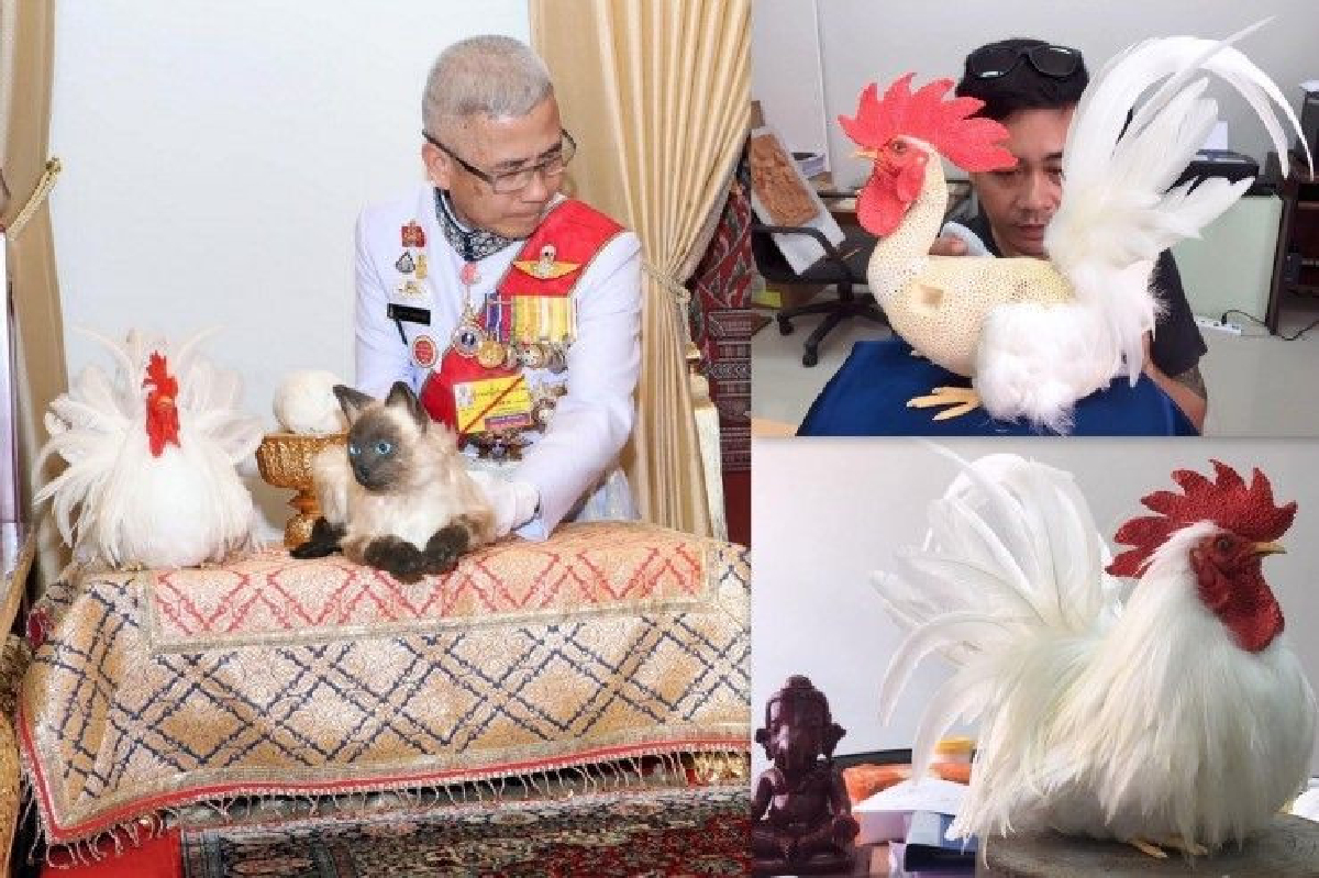 รู้จัก "สาธิต ไชยหงษ์" เจ้าพนักงานผู้ปั้น "ไก่ขาว" ในห้องพระบรรทม รู้จัก "สาธิต ไชยหงษ์" เจ้าพนักงานผู้ปั้น "ไก่ขาว" ในห้องพระบรรทม