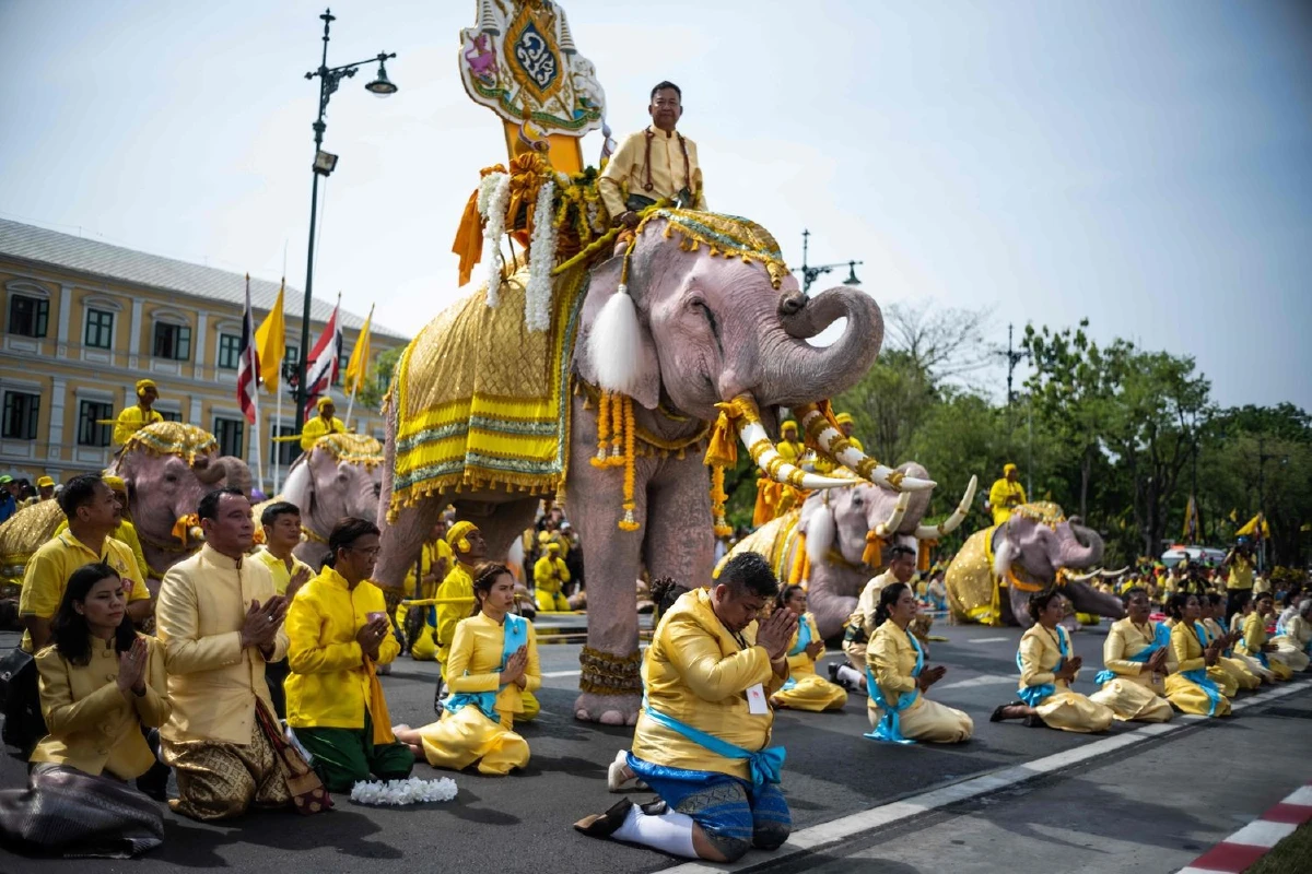 ประมวลภาพช้าง10เชือกเดินเทิดพระเกียรติในหลวงรัชกาลที่ 10