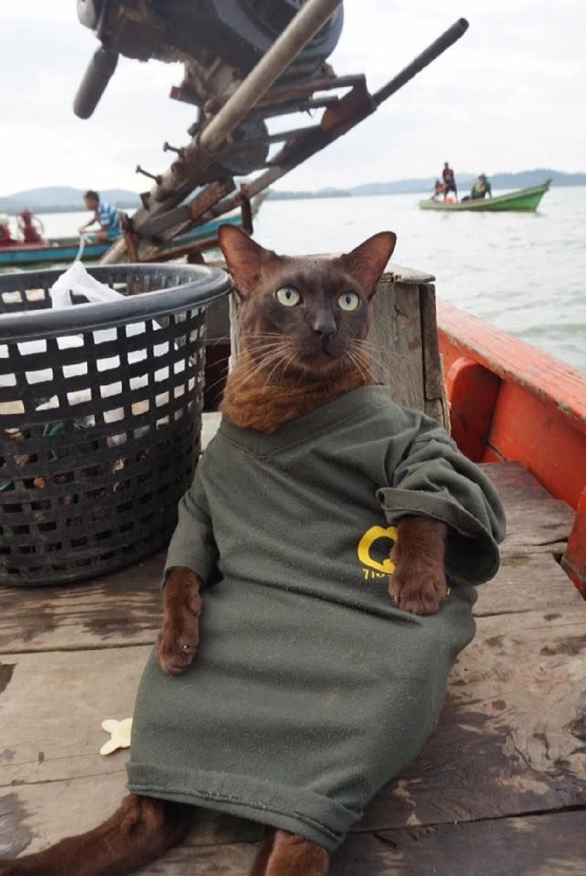 ดีขึ้น "จอนนี่แมวศุภลักษณ์" กระพริบตาบอกไหวสู้กันต่อไปโยมพ่อแม่