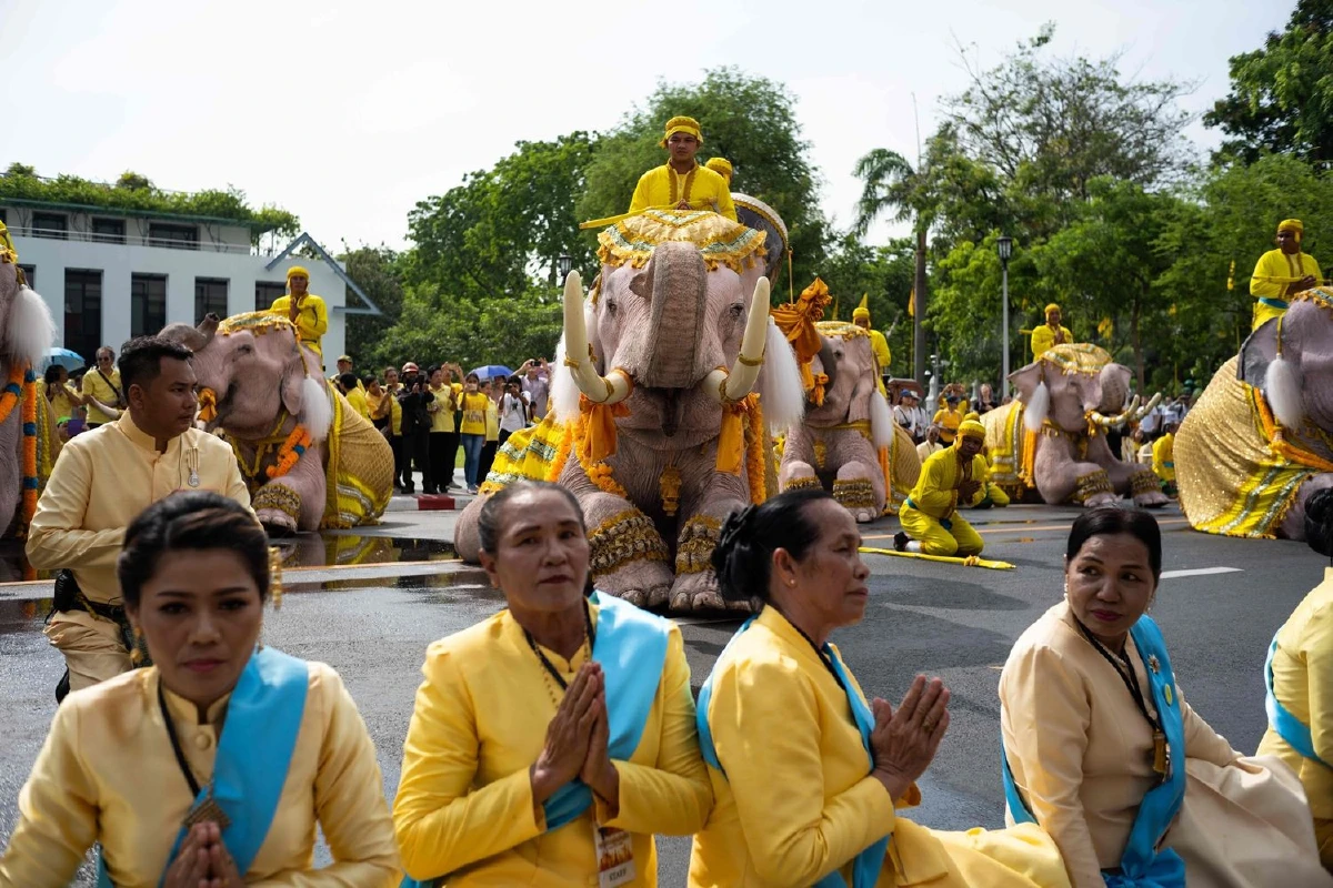 ประมวลภาพช้าง10เชือกเดินเทิดพระเกียรติในหลวงรัชกาลที่ 10