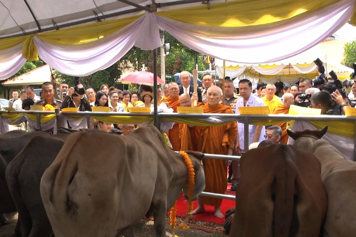 สมเด็จพระสังฆราชไถ่ชีวิตโค-กระบือครบ33ปีศูนย์พัฒนาฯผู้สูงอายุวาสนะเวศม์