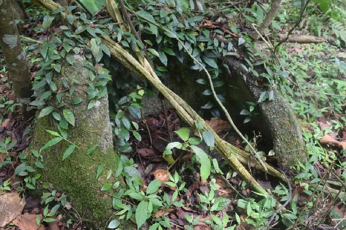 มหัศจรรย์เมืองลาว พบไหหินมนุษย์โบราณกลางป่า