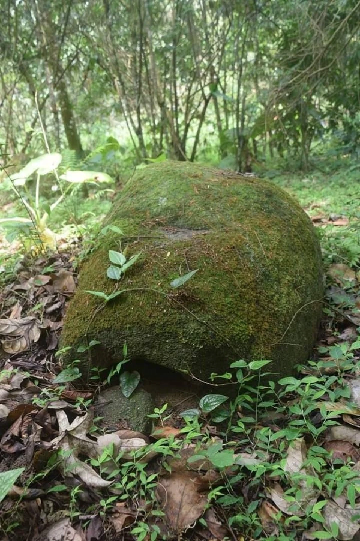 มหัศจรรย์เมืองลาว พบไหหินมนุษย์โบราณกลางป่า