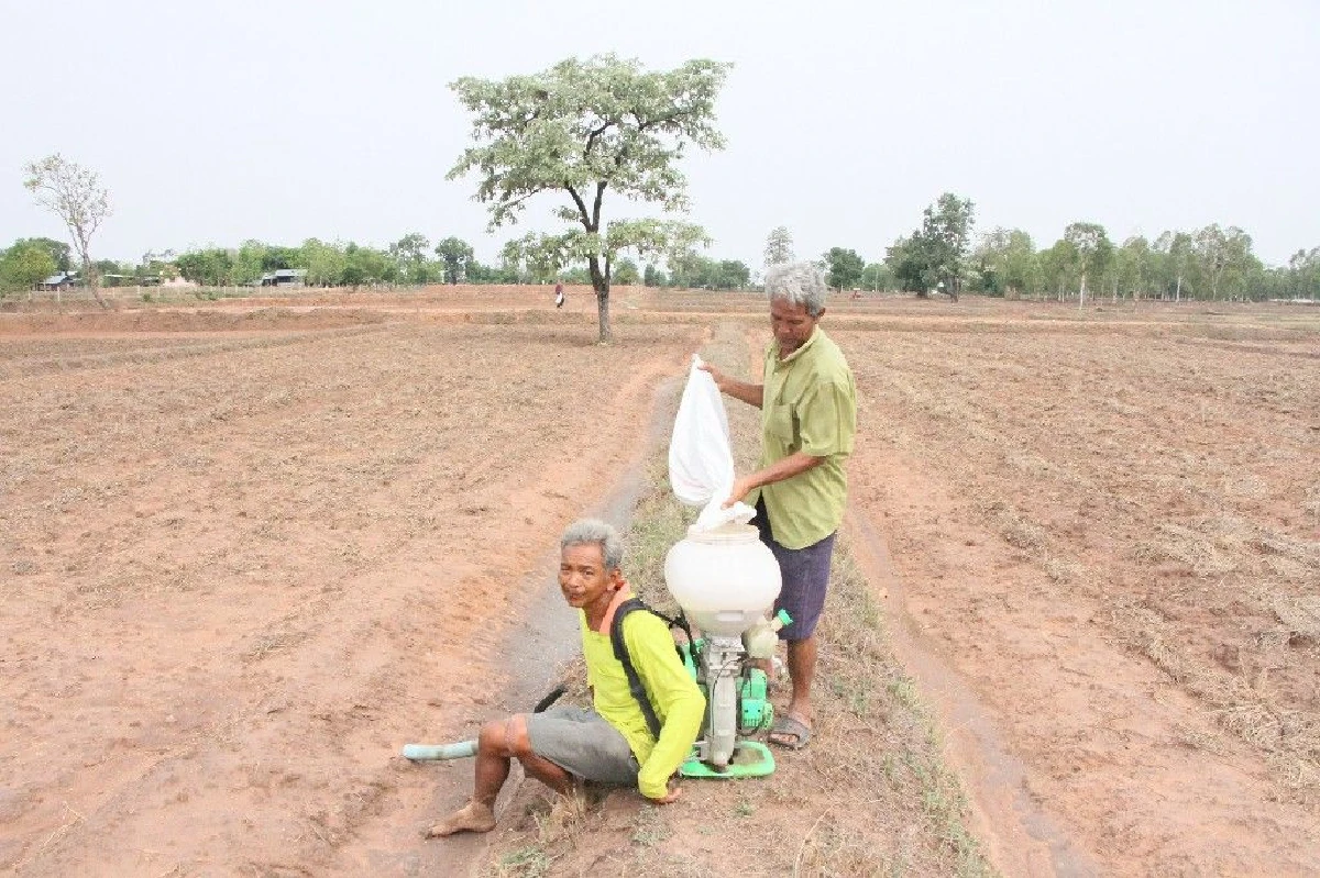 ชาวนาถือฤกษ์ดีวันพืชมงคลหว่านกล้าครั้งแรกบนผืนดินร.10