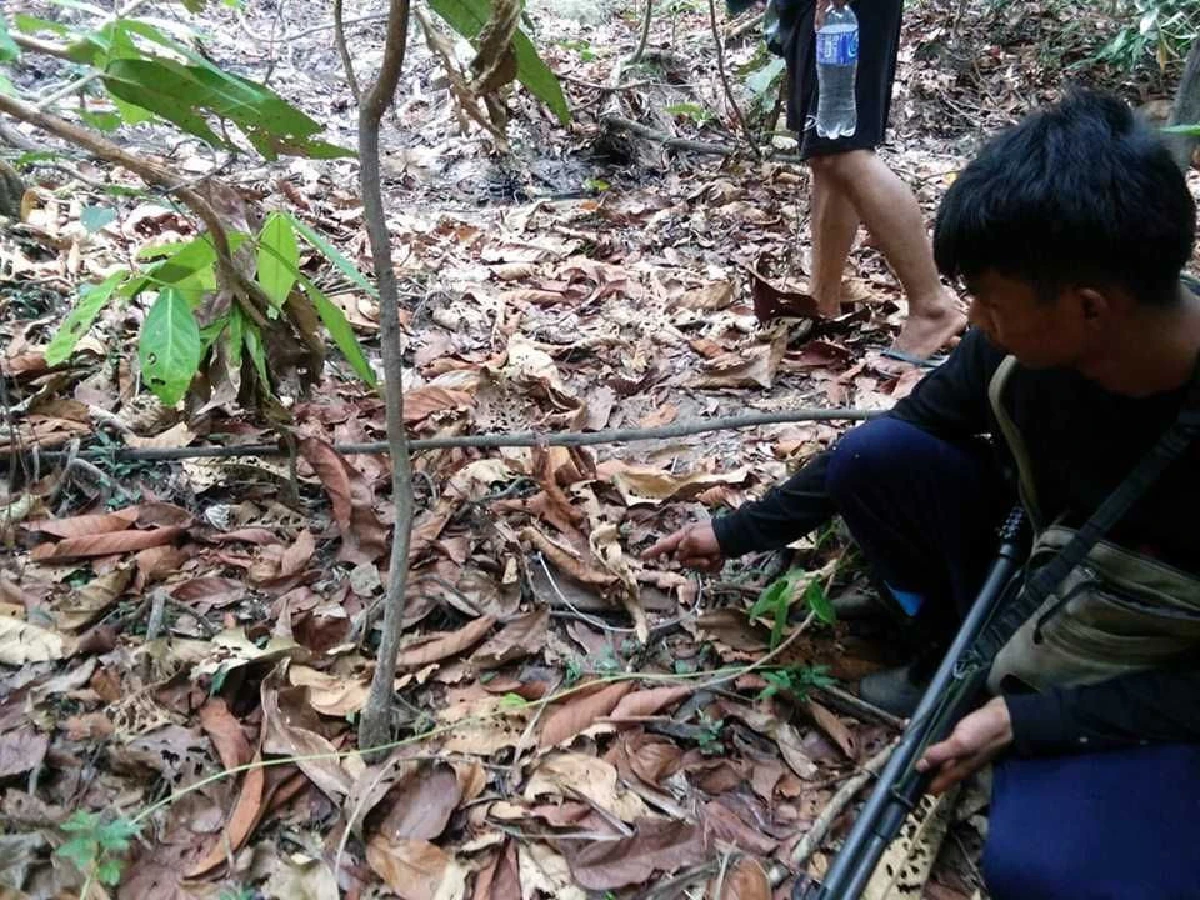 จับชายต้องสงสัยในอุทยานทับลาน พบซากลูกหมีคาเป้สะพาย