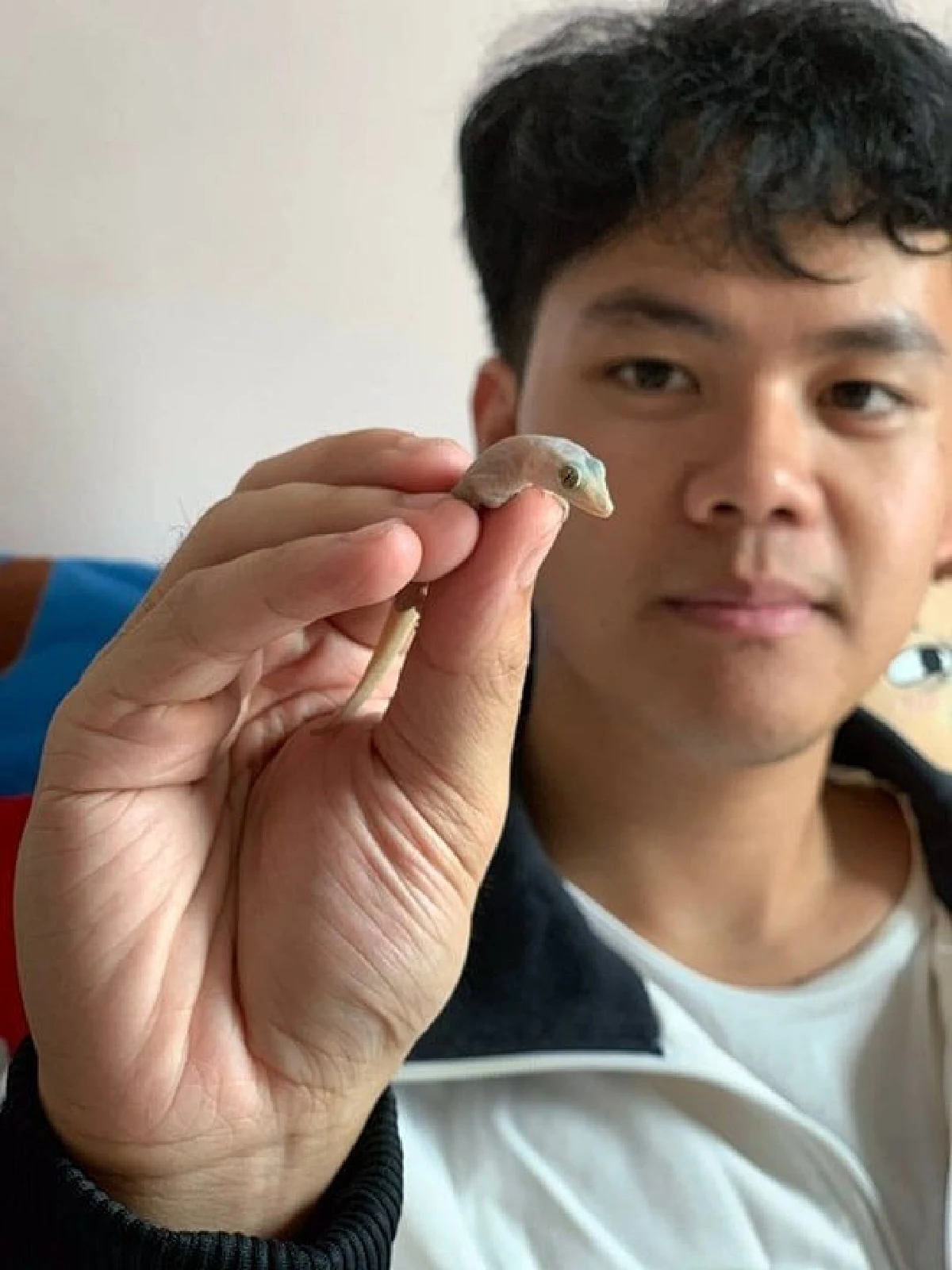 รู้จัก "นอฟ จิ้งจกเอแบค" หนุ่มนศ.ไอเดียเจ๋ง ผุดบริการจับ "สัตว์ชวนขนลุก" ตามหอพัก