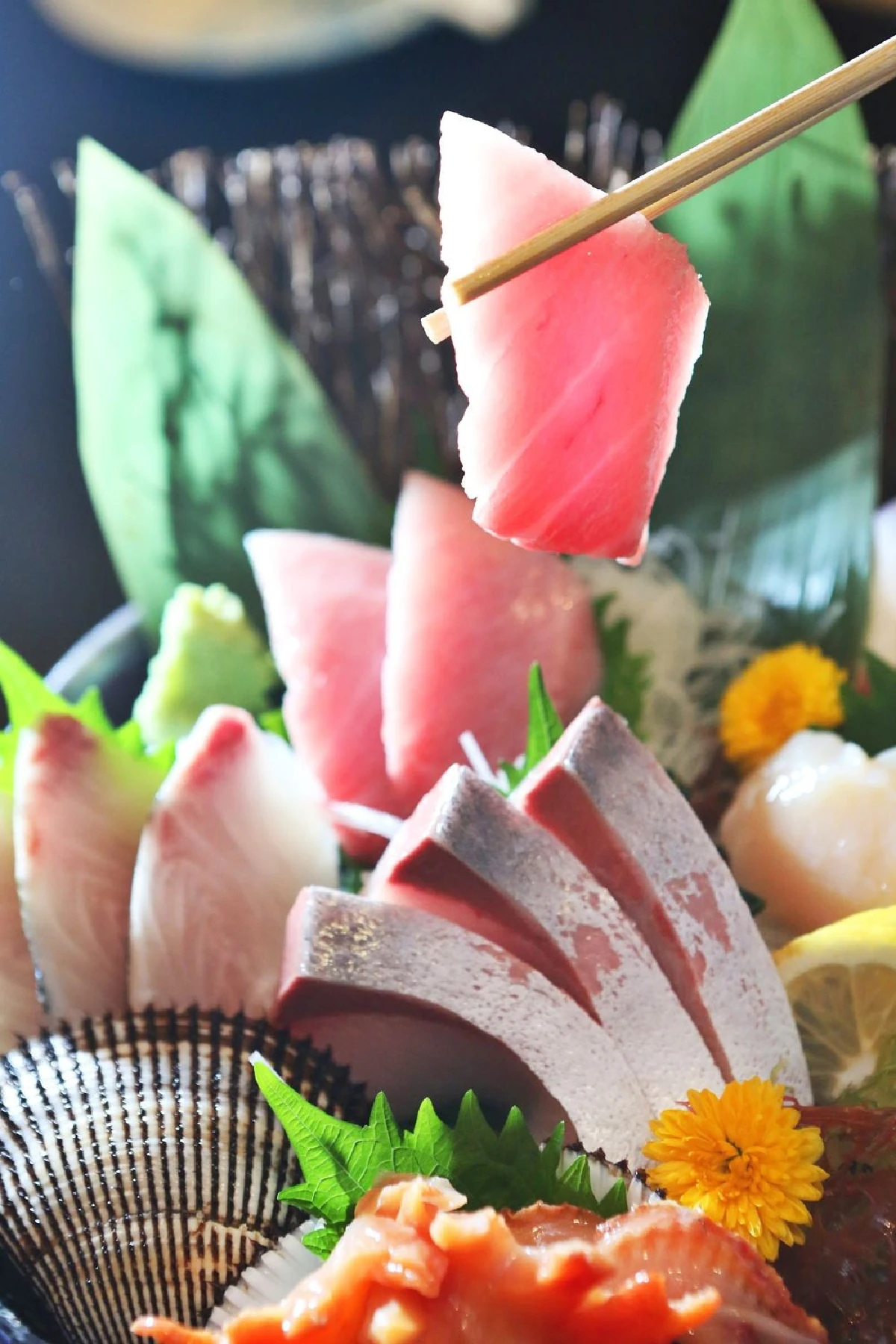 โฮว ยู ลิ้มรสสัมผัสดั่งต้องมนต์สะกดกับเสน่ห์แห่งรสชาติญี่ปุ่นขนานแท้