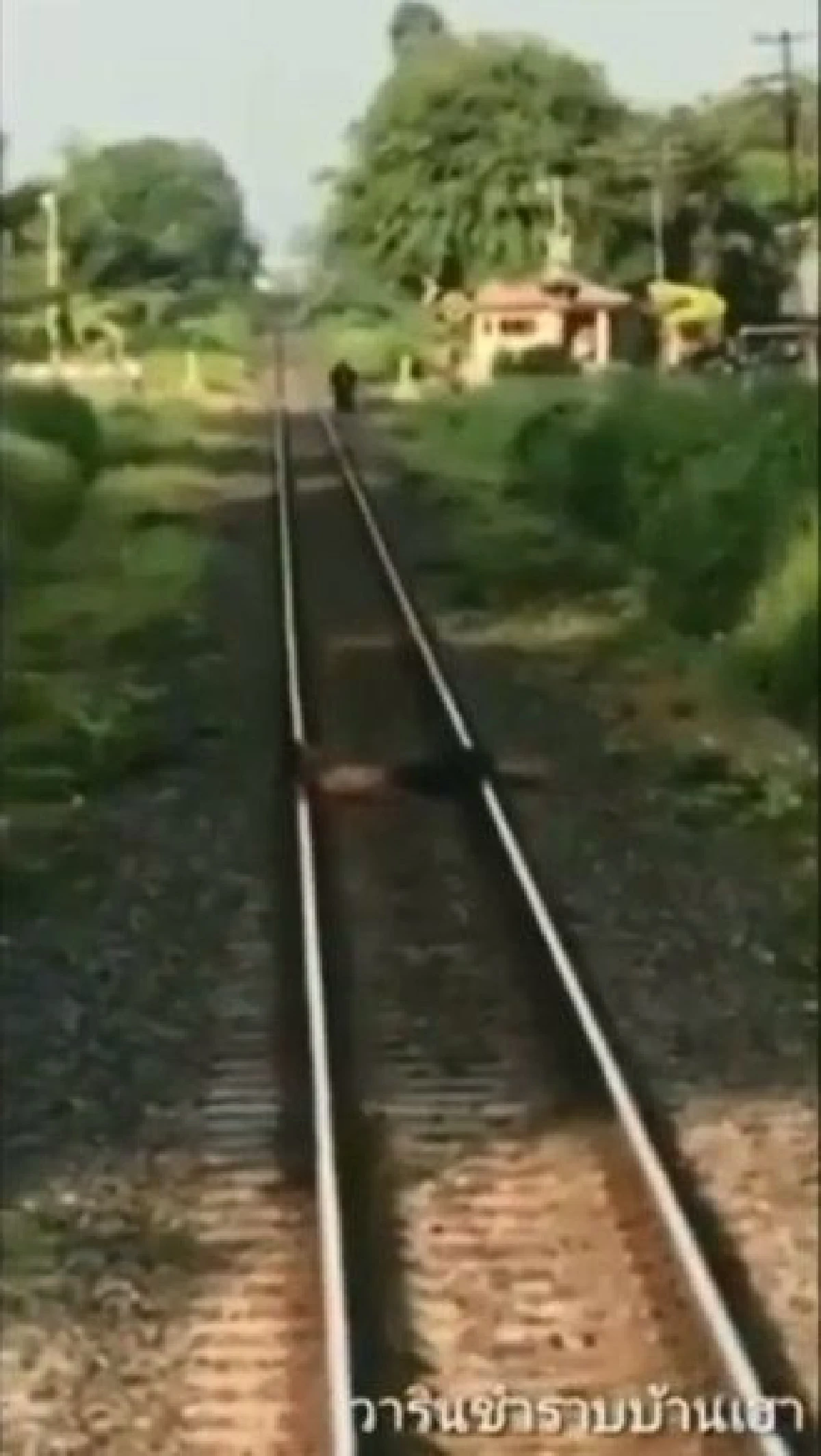 ชื่นชม!เจ้าหน้าที่รถไฟช่วยหนุ่มเครียดนอนขวางรางให้รถไฟทับ