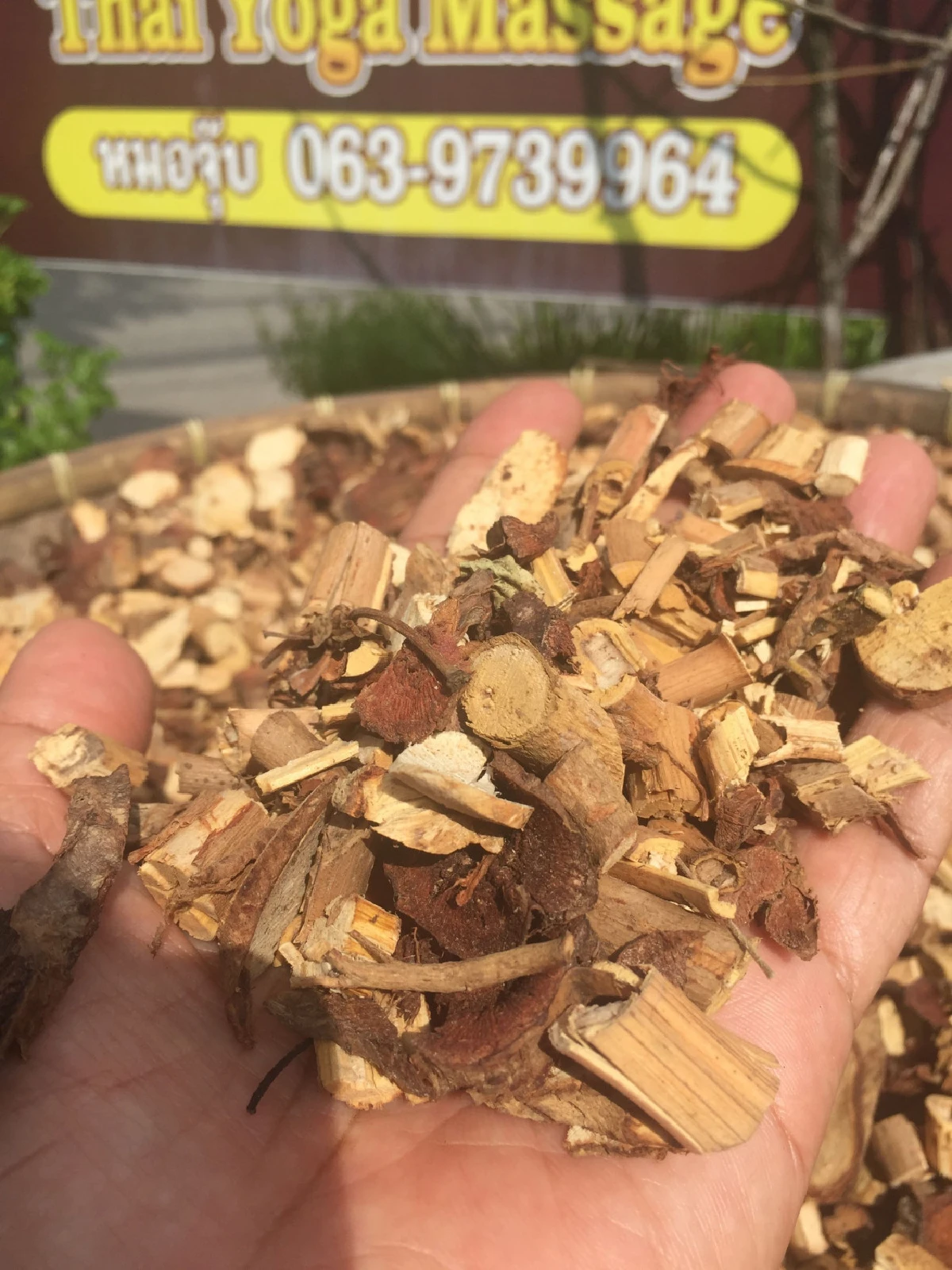 “หมอจุ๊บ” หมอยาพื้นบ้าน แห่งต.บางริ้น จ.ระนอง