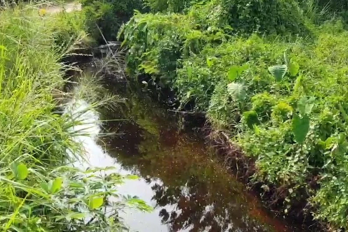 ทุกข์ชาวบ้านหนองไม้แก่น!มือดีปล่อยคราบน้ำมันลงคลองสาธารณะ