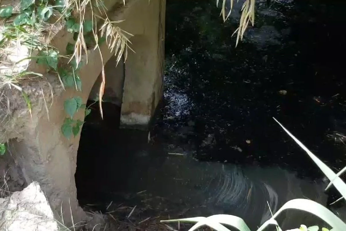 ทุกข์ชาวบ้านหนองไม้แก่น!มือดีปล่อยคราบน้ำมันลงคลองสาธารณะ