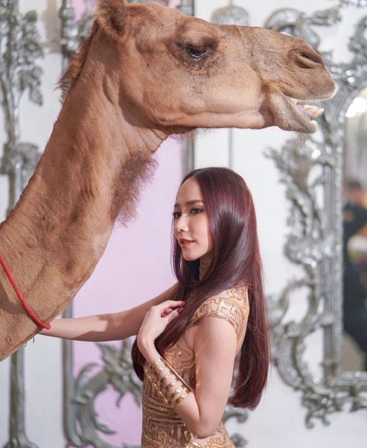 วิลิศมาหรา! เปิดดีเทลปาร์ตี้วันเกิดของ แหวนแหวน อูฐก็ต้องมี สาวๆจีนี่จ๋าต้องมา