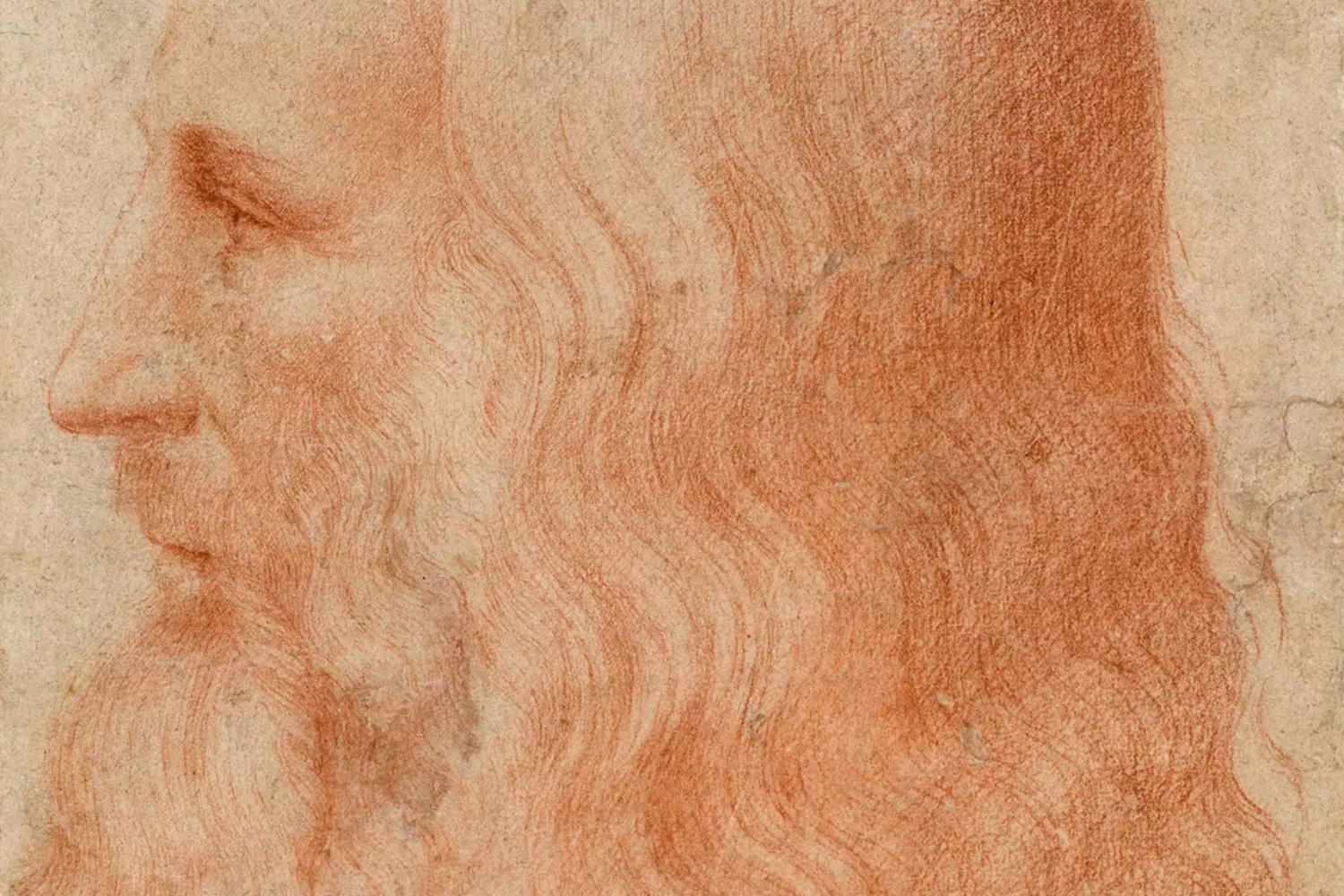 Да винча. Да винча. Леонардо да винчи автопортрет 1512. Леонардо да винчи автопортрет 1512. Леонардо да винчи автопортрет оригинал.