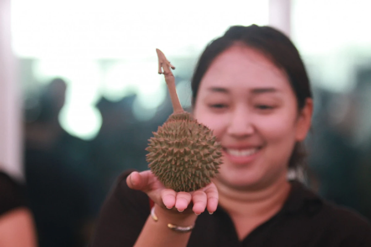 จัดแข่งขันนักคัดทุเรียนมือทองระดับประเทศหนุ่มใต้คว้าชัย