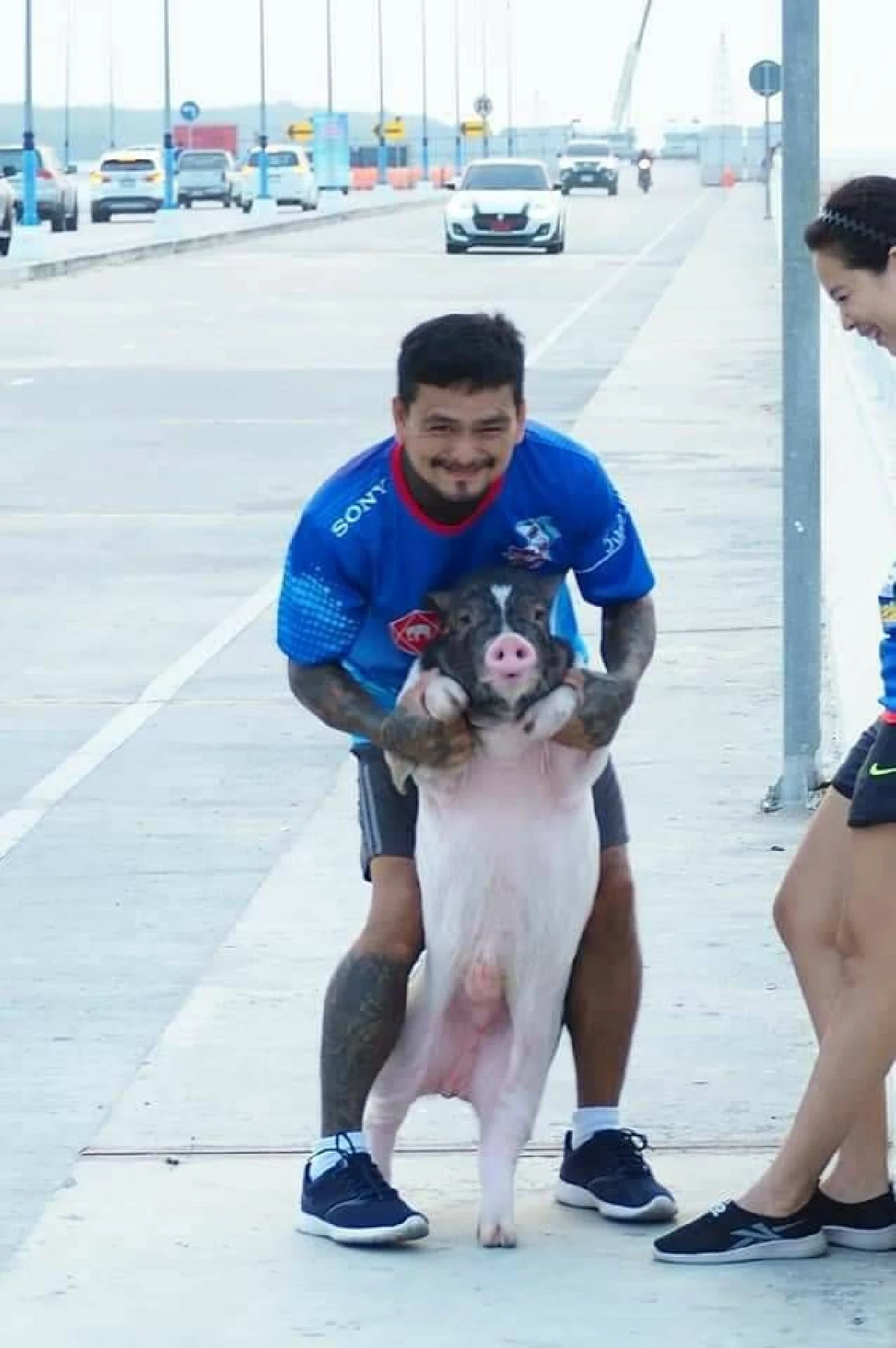 แปลกแต่จริง "เฉาก๊วย หมูชวนวิ่ง" บทเรียนจากหมูสู่คนที่ไม่หมู