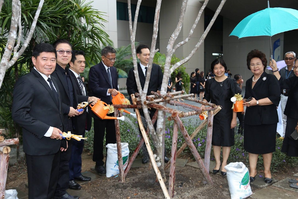 ธพส. ร่วมกันปลูกต้นรวงผึ้ง เนื่องในวันต้นไม้ประจำปีของชาติ ประจำปี 2562 ธพส. ร่วมกันปลูกต้นรวงผึ้ง เนื่องในวันต้นไม้ประจำปีของชาติ ประจำปี 2562