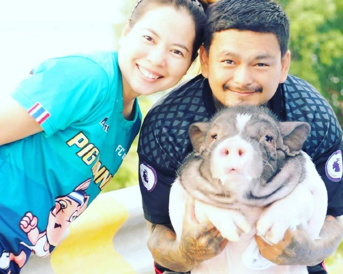 แปลกแต่จริง "เฉาก๊วย หมูชวนวิ่ง" บทเรียนจากหมูสู่คนที่ไม่หมู