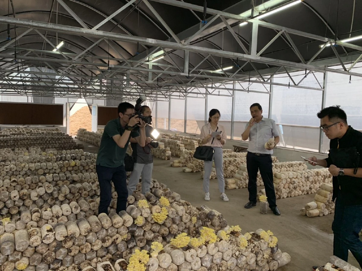 จีนเชิญพปชร.ประชุมความร่วมมือพรรคการเมืองชาติอาเซียน-พรรคคอมมิวนิสต์จีน