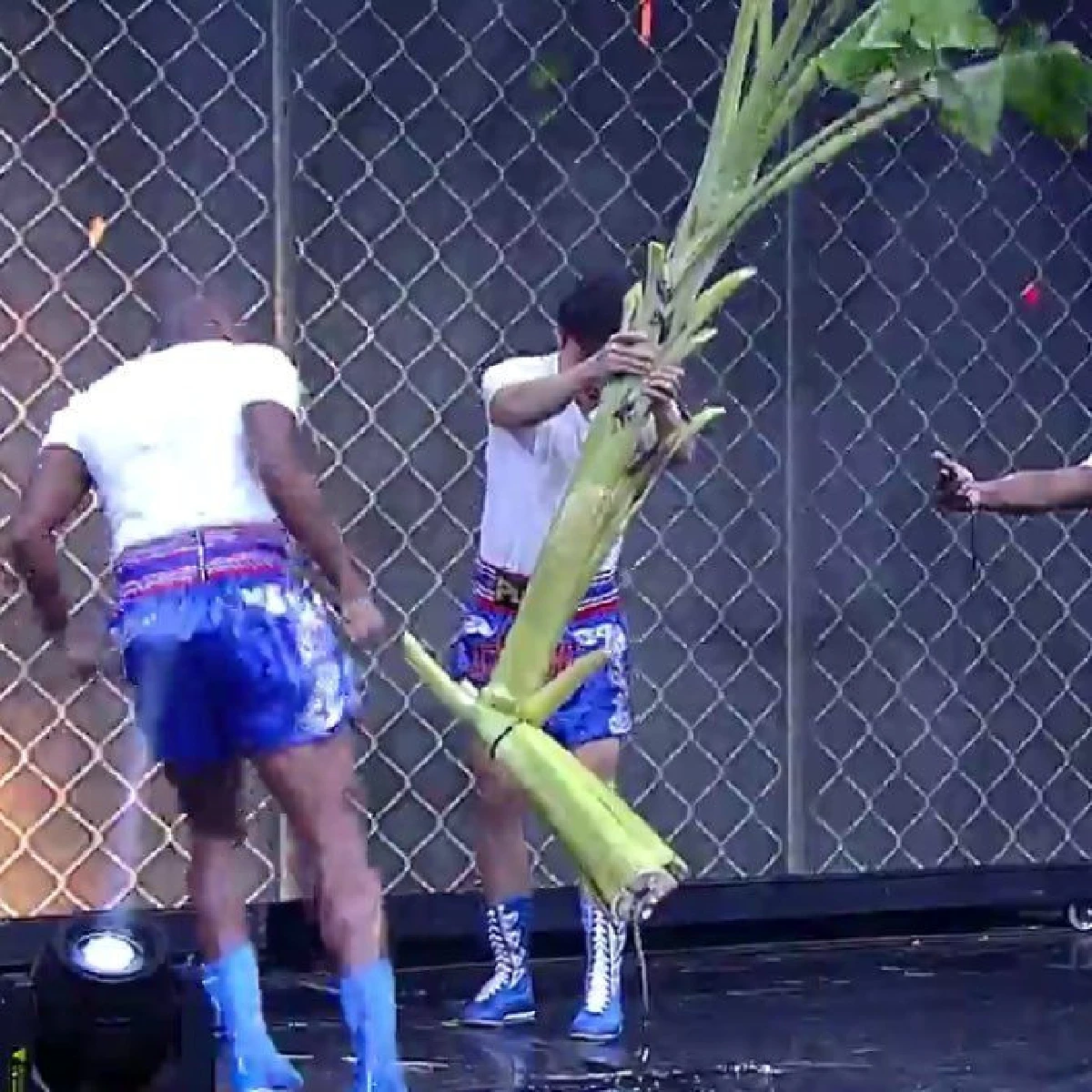 สามีมีหนาว!! “รัศมีแข" เผยสกิลความโหด เตะต้นกล้วยหักได้ในเวลาไม่กี่วิ