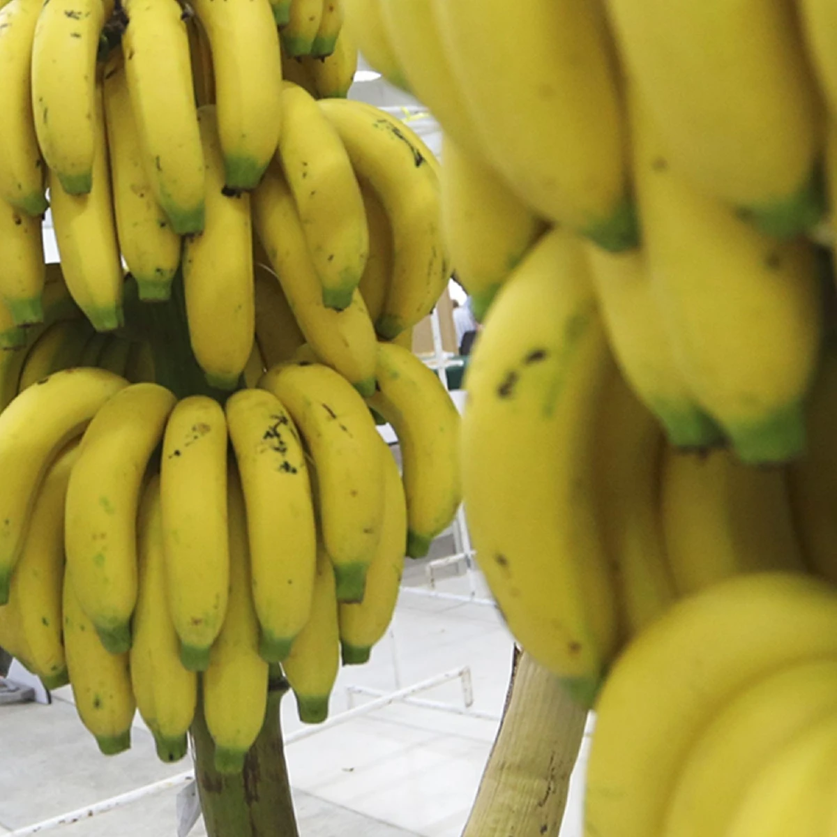 ปลุกตัวเองให้ตื่น เติมความสดชื่นกับเครื่องดื่มเฮลท์ตี้ที่ไม่มีกาเฟอีน