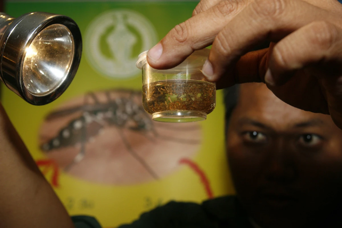 ความแตกต่างของไข้หวัดธรรมดา ไข้หวัดใหญ่ และไข้เลือดออก