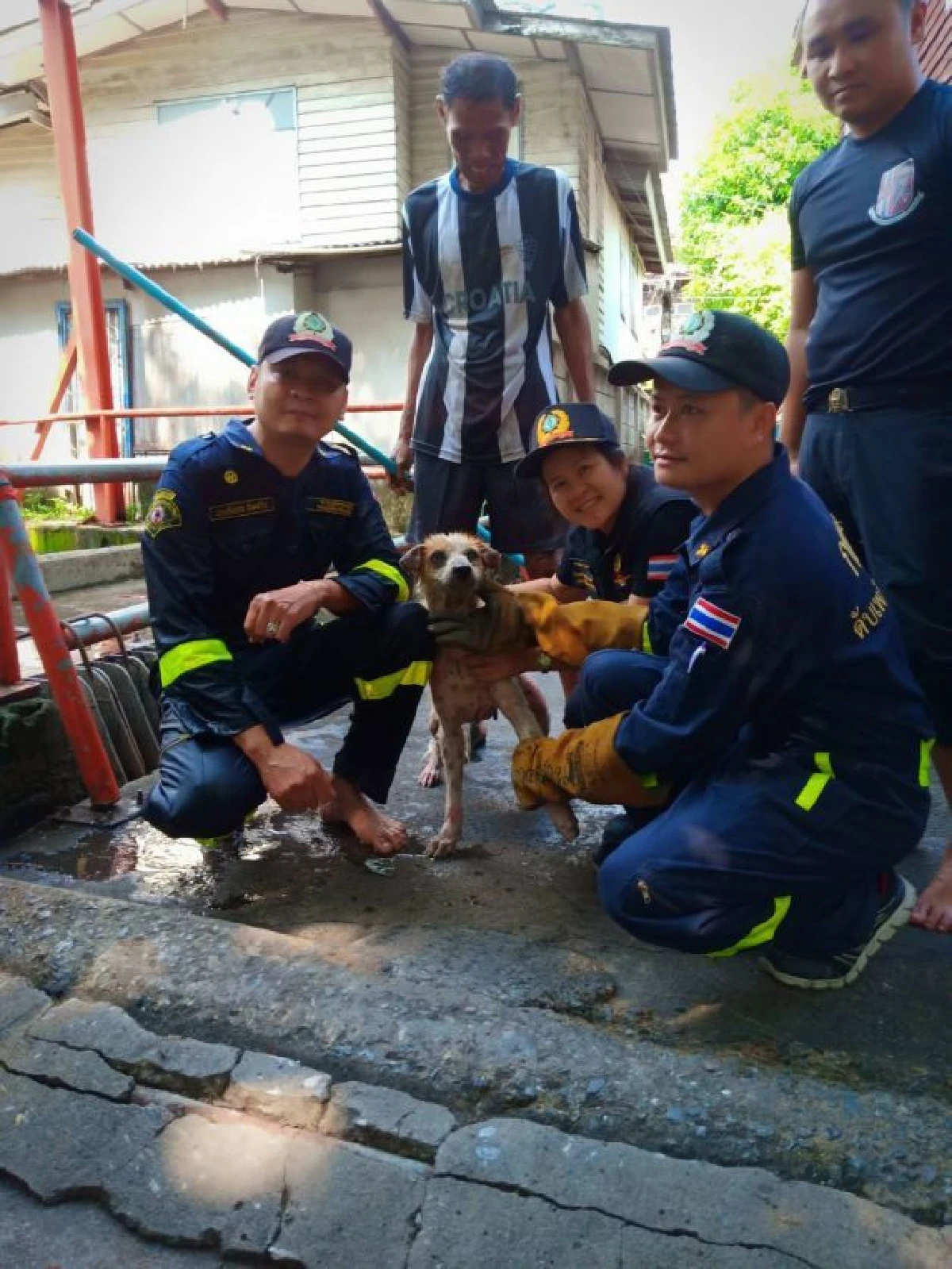 คารวะด้วยใจ! จนท.ดับเพลิงมุดท่อลุยน้ำช่วยน้องหมาแก่ตาบอด