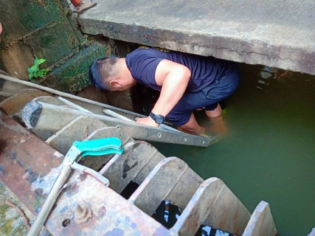 คารวะด้วยใจ! จนท.ดับเพลิงมุดท่อลุยน้ำช่วยน้องหมาแก่ตาบอด