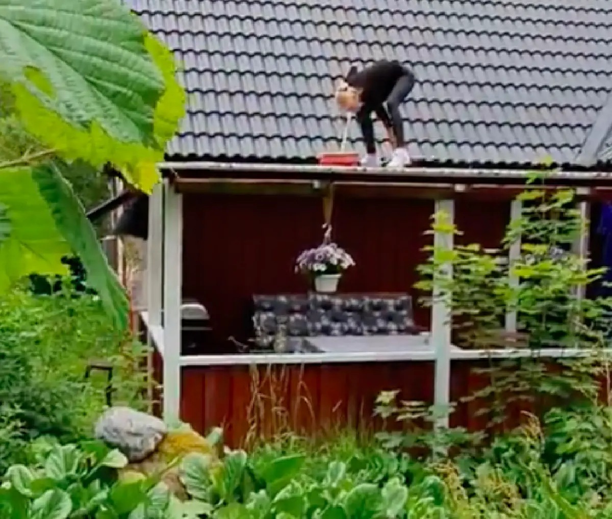 #แม่บ้านฮาร์ดคอร์ "บอย พิษณุ“ โชว์ภาพภรรยา "อาแมนด้า” ปีนทำความสะอาดหลังคาบ้าน