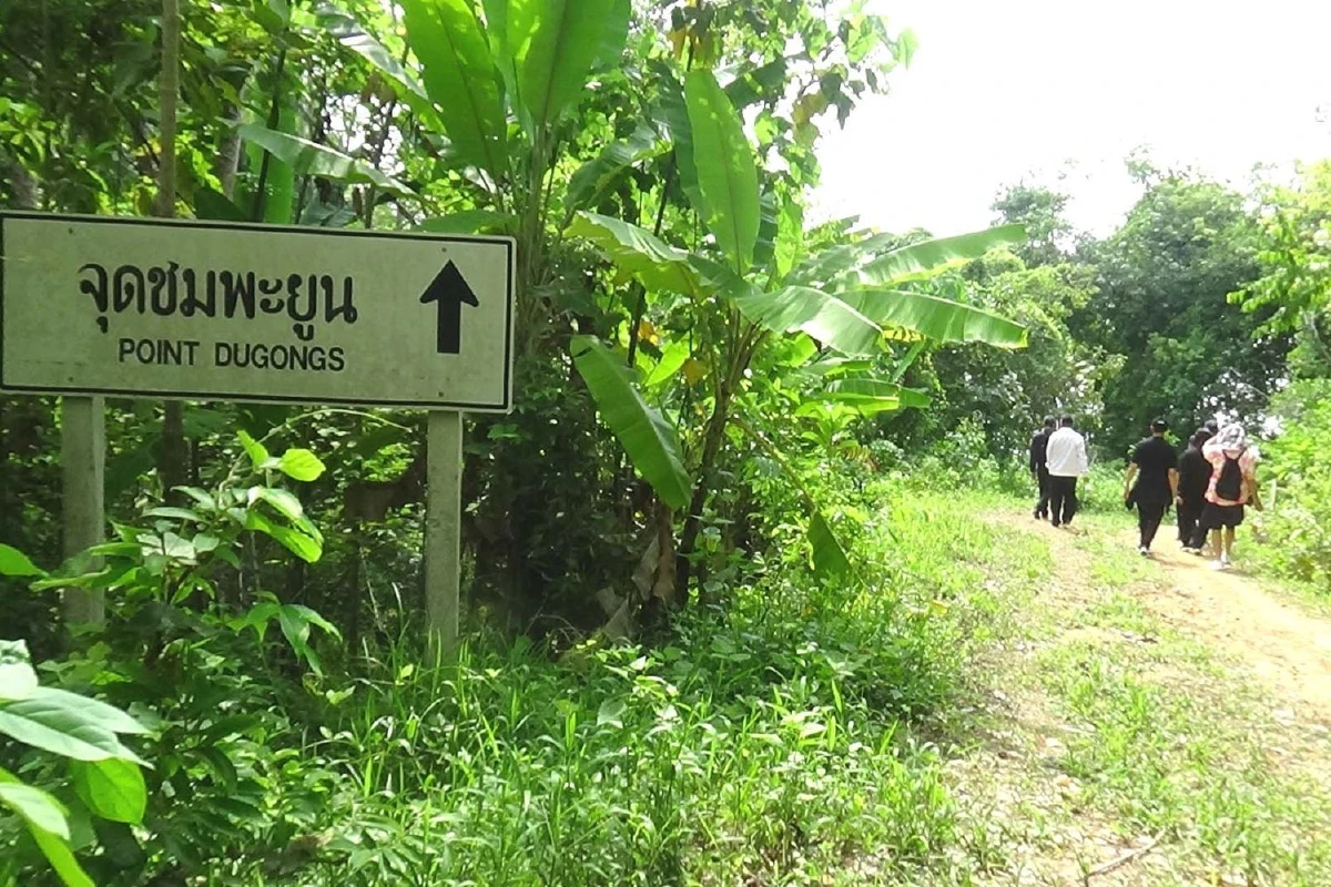 ตรังเล็งพัฒนาเกาะลิบงรองรับนักท่องเที่ยวมาชมน้องมาเรียม