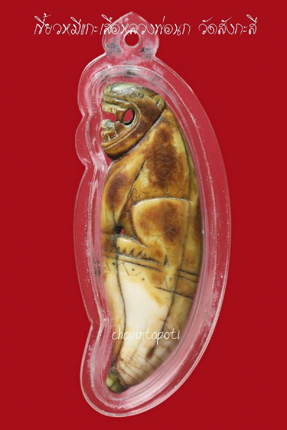 เขี้ยวหมีแกะเสือหลวงพ่อนก วัดสังกะสี