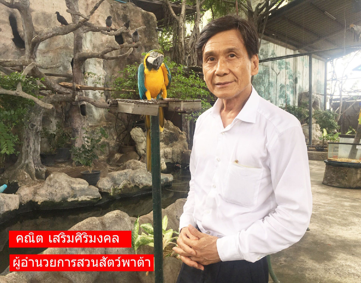 สวนสัตว์พาต้าเฮ!!!รับอานิสงส์กลุ่มครอบครัวเดินทางมาพักผ่อนพุ่ง 50% หลังจากเขาดินวนาปิด สวนสัตว์พาต้าเฮ!!!รับอานิสงส์กลุ่มครอบครัวเดินทางมาพักผ่อนพุ่ง 50% หลังจากเขาดินวนาปิด