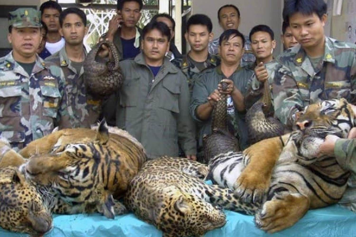 ทส.เร่งผลักดันไทยสู่บทบาทผู้นำอาเซียนด้านทรัพยากรธรรมชาติและสิ่งแวดล้อม ทส.เร่งผลักดันไทยสู่บทบาทผู้นำอาเซียนด้านทรัพยากรธรรมชาติและสิ่งแวดล้อม