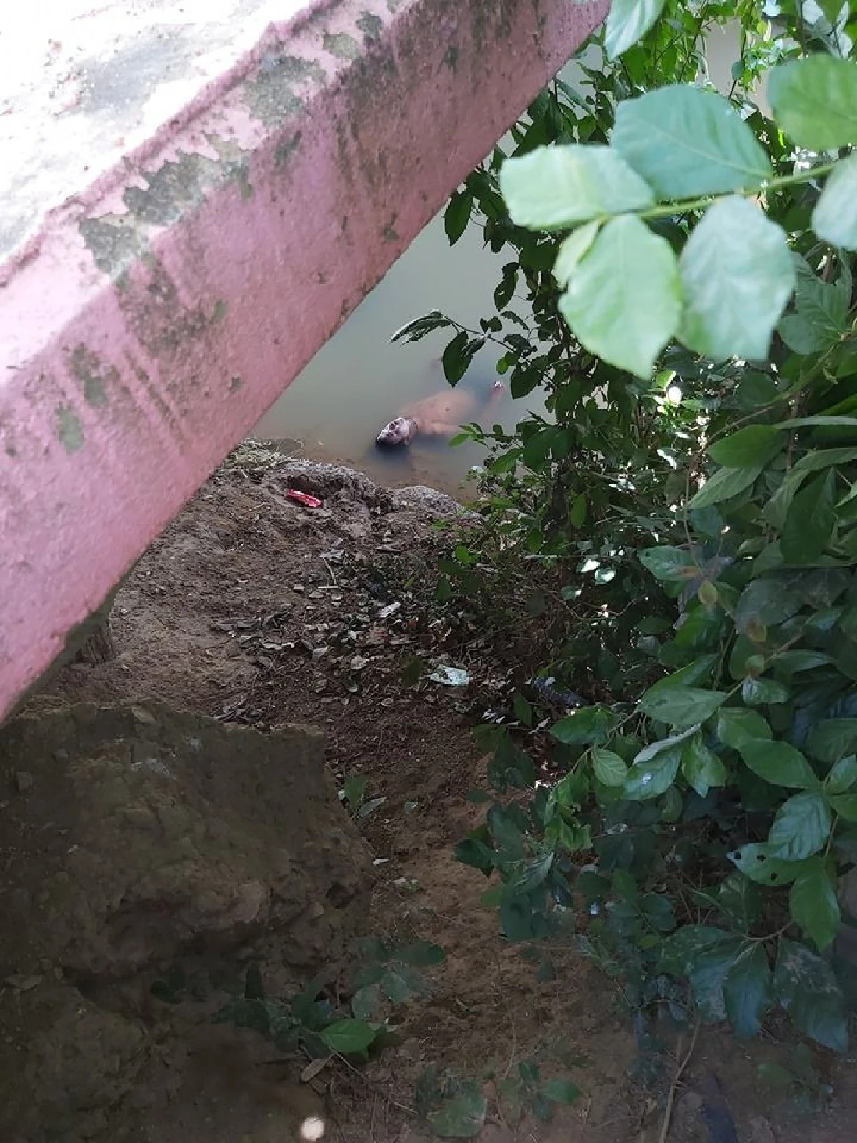 หนุ่มเมานอนแช่น้ำคลองแก้ร้อน ชาวบ้านนึกว่าศพแจ้งกู้ภัยนำร่างถึงกับผงะ