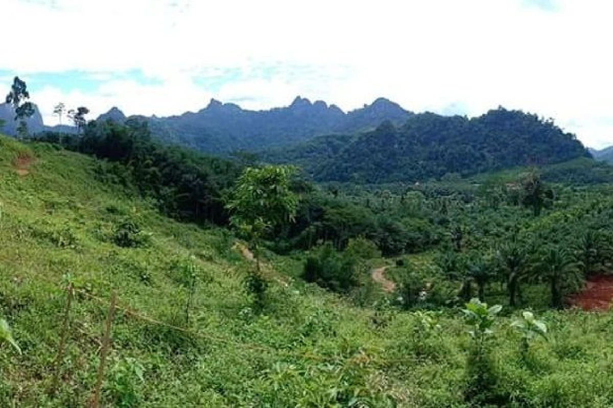 Fast9ใช้วิวสวนปาล์มที่อ.พนมเป็นฉากหนึ่งในภาพยนตร์เริ่มถ่ายทำ13ก.ค.นี้