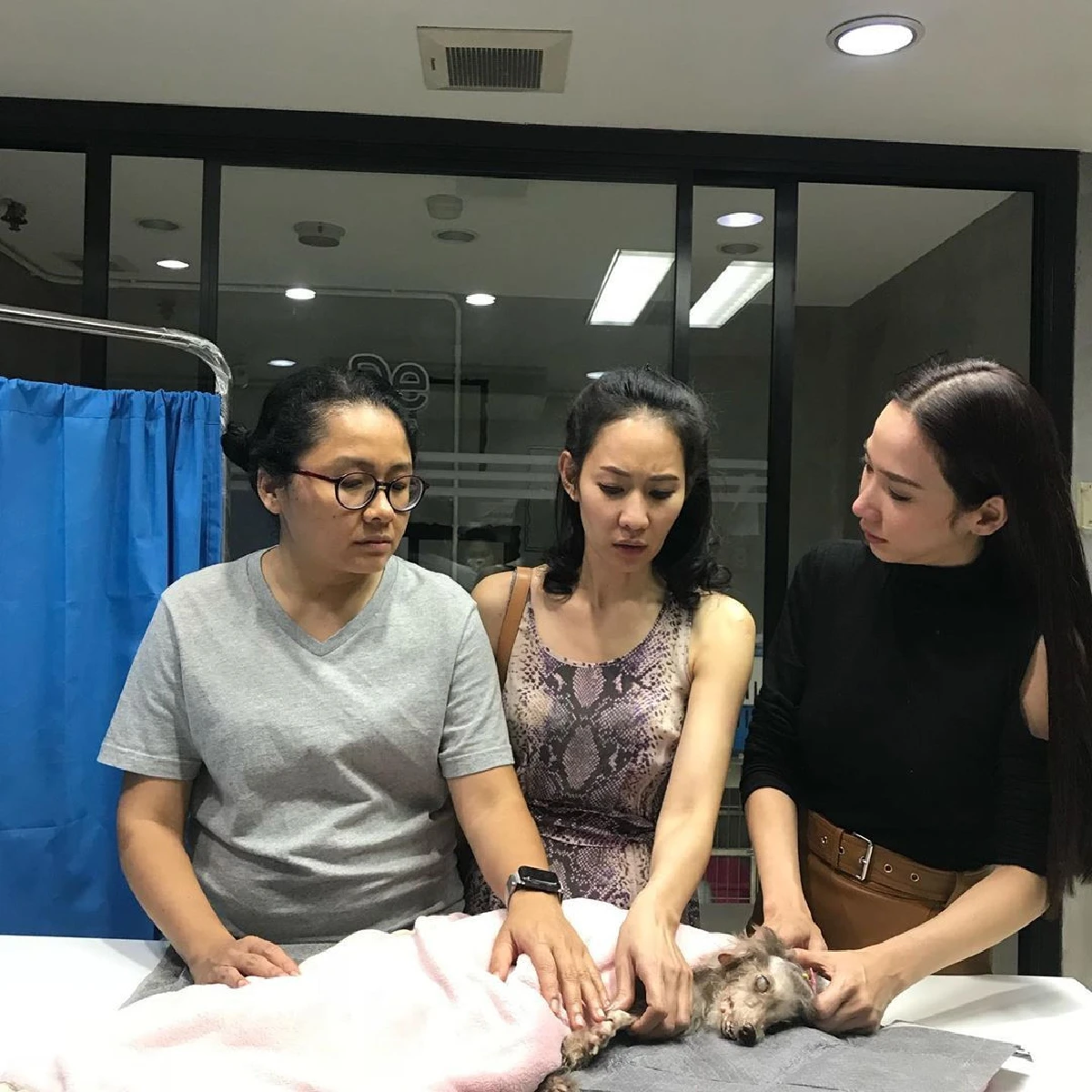 ครึ่งชีวิตของกันและกัน! "อั้ม พัชราภา” สูญเสียน้องหมาที่อยู่ด้วยกันมากว่า 20 ปี