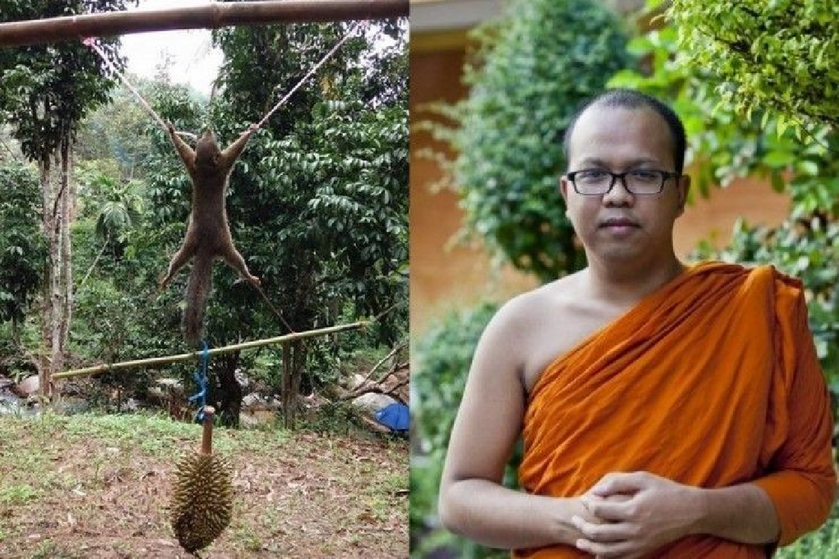 พระมหาไพรวัลย์ แนะหลักเมตตาแบ่งปัน หนุ่มขึงพืด “กระรอก” แอบกินทุเรียน พระมหาไพรวัลย์ แนะหลักเมตตาแบ่งปัน หนุ่มขึงพืด “กระรอก” แอบกินทุเรียน