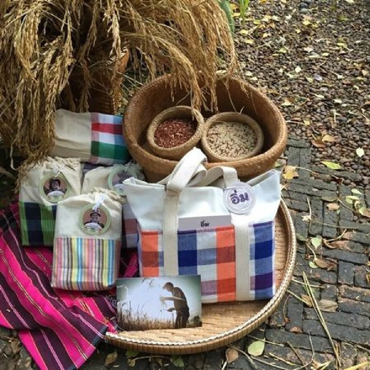 ทีม"กรณ์"เผย "เกษตรเข้มแข็ง"ที่โดนฟ้องว่าเป็นหุ้นสื่อที่แท้บริษัทช่วยชาวนา