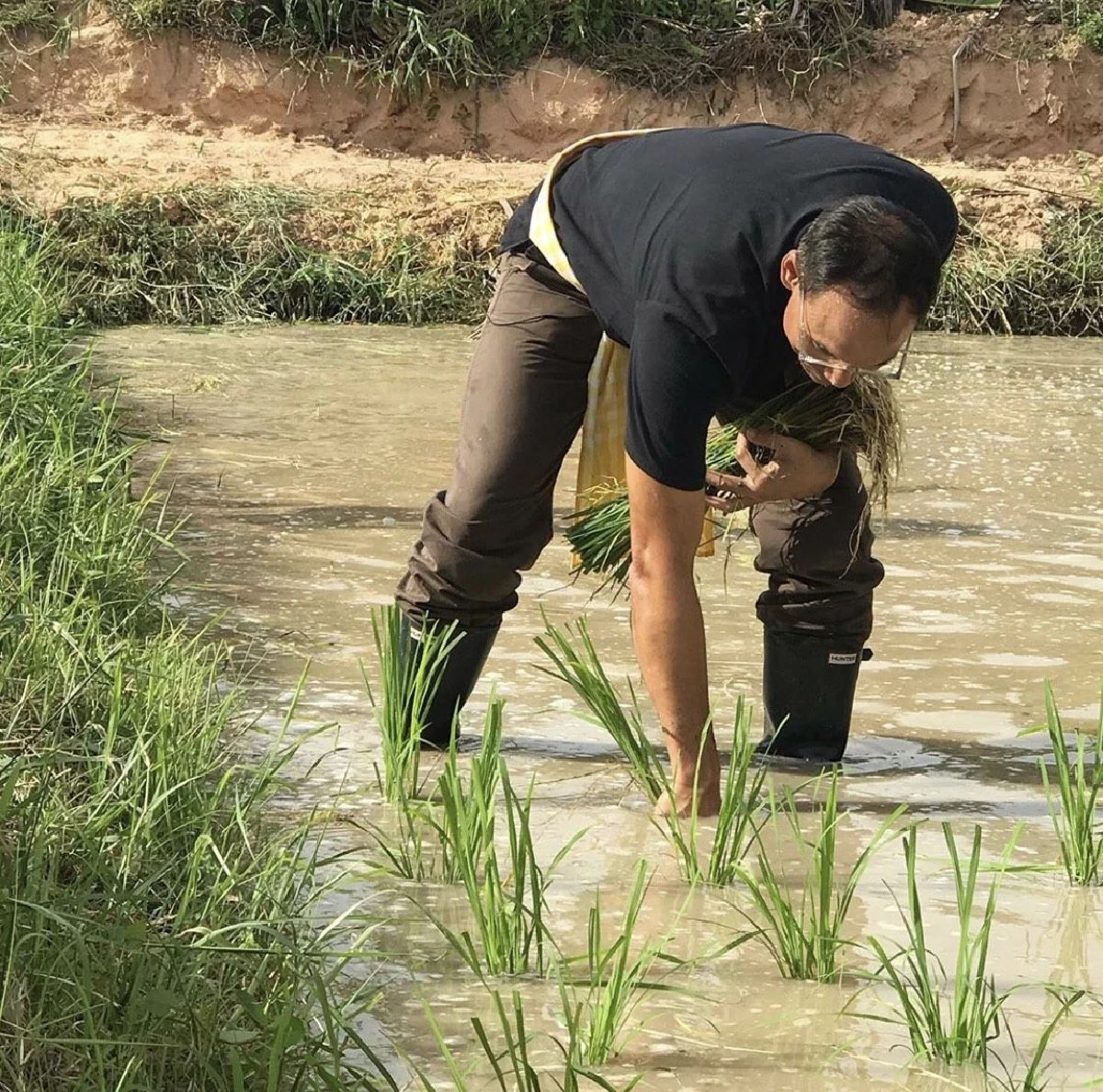 "กรณ์"ย้ำ"เกษตรเข้มแข็ง"ช่วยชาวนาไม่ใช่ทำสื่อ ซัด อนาคตใหม่ เน้นเอาชนะทางการเมือง