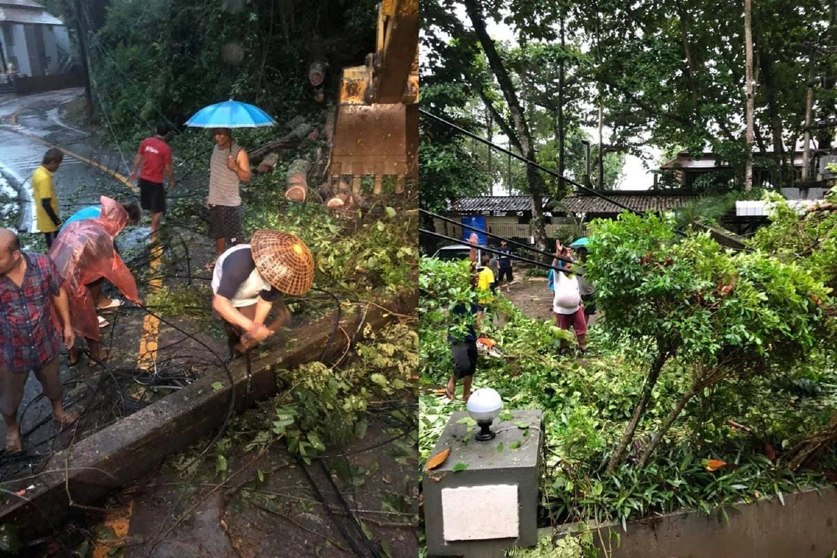 ฝนถล่มเกาะช้างต้นไม้หักโค่นทับเสาไฟฟ้าล้มขวางถนน