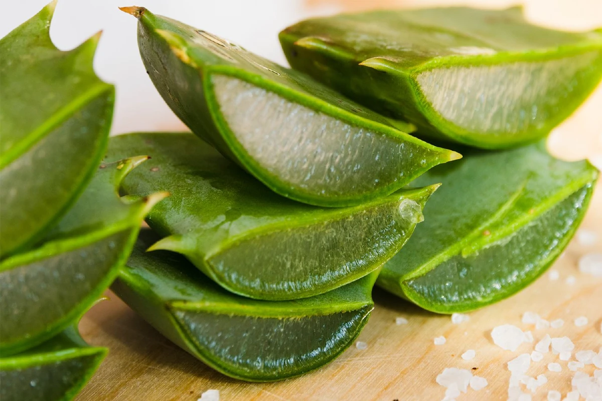 ขิง-ขมิ้น-ว่านหางจระเข้ 3 สมุนไพรช่วยลดกรดไหลย้อน