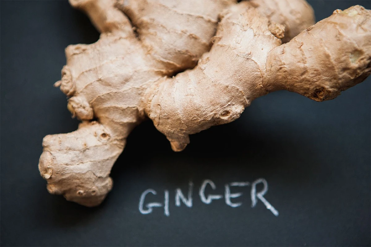 ขิง-ขมิ้น-ว่านหางจระเข้ 3 สมุนไพรช่วยลดกรดไหลย้อน