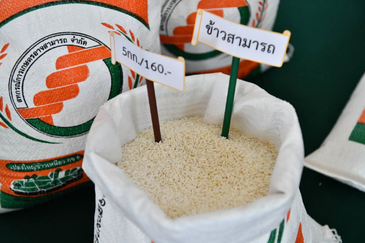 สหกรณ์การเกษตรอาจสามารถ สร้าง'ฮับ'ข้าวเหนียวอีสาน สหกรณ์การเกษตรอาจสามารถ สร้าง'ฮับ'ข้าวเหนียวอีสาน